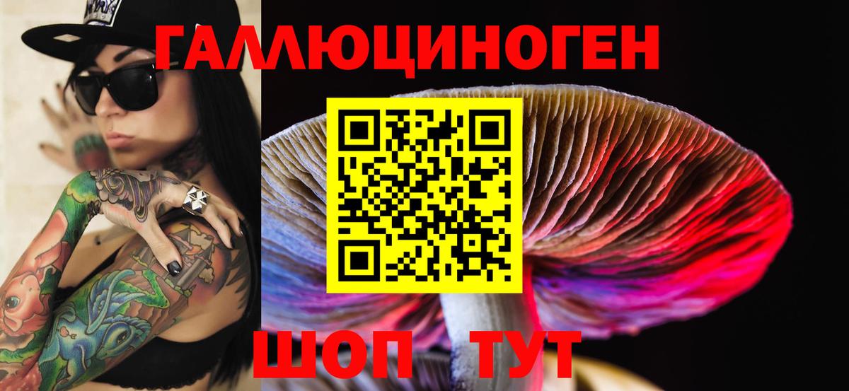 Псилоцибиновые грибы GOLDEN TEACHER Назрань